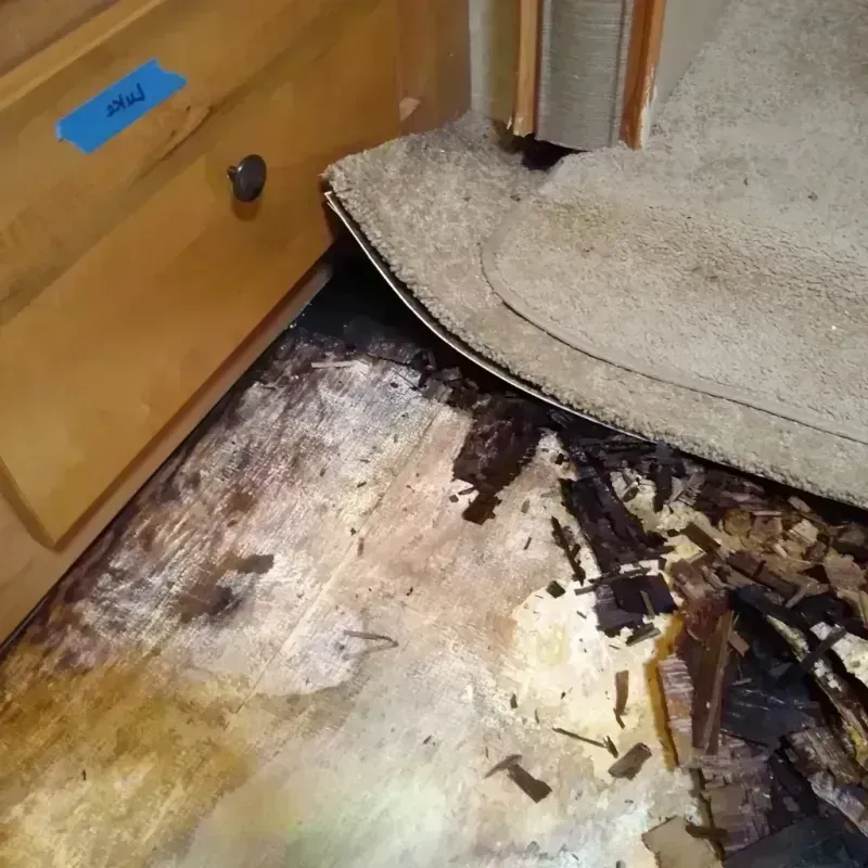 Wood Floor Water Damage in Cridersville, OH